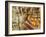 Interior view of the Theatro Municipal, Rio de Janeiro, Brazil, South America-Karol Kozlowski-Framed Photographic Print