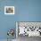 Interiors of a Mosque, Mosque Hassan Ii, Casablanca, Morocco-null-Framed Photographic Print displayed on a wall