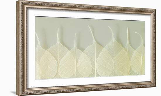 Interlace-Assaf Frank-Framed Giclee Print