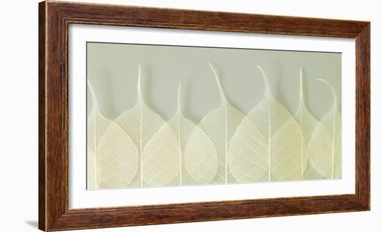 Interlace-Assaf Frank-Framed Giclee Print