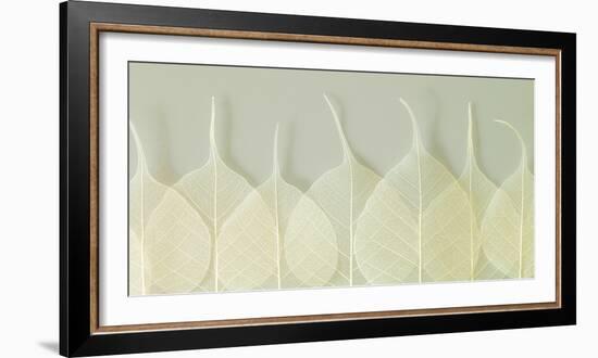 Interlace-Assaf Frank-Framed Giclee Print