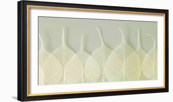 Interlace-Assaf Frank-Framed Giclee Print