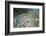 Interlaken, Interlaken-Oberhasli, Bern, Switzerland, Jungfrau Region, Town Centre, Aerial Picture-Frank Fleischmann-Framed Photographic Print