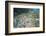 Interlaken, Interlaken-Oberhasli, Bern, Switzerland, Jungfrau Region, Town Centre, Aerial Picture-Frank Fleischmann-Framed Photographic Print