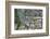 Interlaken, Interlaken-Oberhasli, Bern, Switzerland, Jungfrau Region, Town Centre, Aerial Picture-Frank Fleischmann-Framed Photographic Print