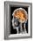 Internal Brain Anatomy, Artwork-PASIEKA-Framed Photographic Print