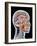 Internal Brain Anatomy, Artwork-PASIEKA-Framed Photographic Print