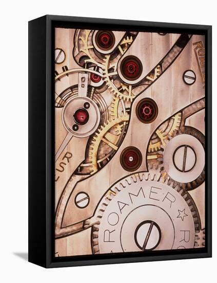 Internal Cogs And Gears of a 17-jewel Swiss Watch-David Parker-Framed Premier Image Canvas