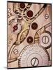 Internal Cogs And Gears of a 17-jewel Swiss Watch-David Parker-Mounted Photographic Print