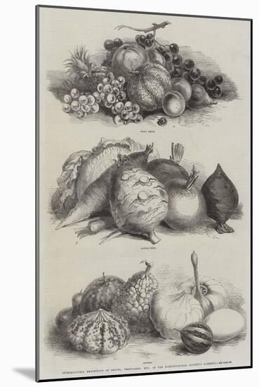 International Exhibition of Fruits, Vegetables, Etc, in the Horticultural Society's Gardens-null-Mounted Giclee Print