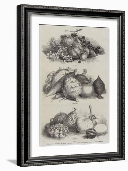 International Exhibition of Fruits, Vegetables, Etc, in the Horticultural Society's Gardens-null-Framed Giclee Print