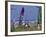 International Kite Festival, Long Beach, Washington, USA-William Sutton-Framed Photographic Print