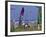 International Kite Festival, Long Beach, Washington, USA-William Sutton-Framed Photographic Print