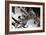 International Space Station Model-Detlev Van Ravenswaay-Framed Photographic Print