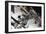 International Space Station Model-Detlev Van Ravenswaay-Framed Photographic Print