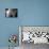 International Space Station-Roger Harris-Photographic Print displayed on a wall