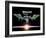 International Space Station-null-Framed Photographic Print