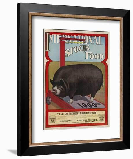 International Stock Food Advertising Poster-null-Framed Giclee Print