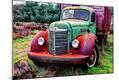 Photographic Print