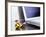 Internet Connection-Carlos Dominguez-Framed Photographic Print