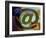 Internet Gaming-Christian Darkin-Framed Photographic Print