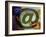 Internet Gaming-Christian Darkin-Framed Photographic Print