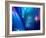 Internet Technology Fiber Optic-Wu Kailiang-Framed Photographic Print