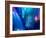 Internet Technology Fiber Optic-Wu Kailiang-Framed Photographic Print