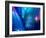 Internet Technology Fiber Optic-Wu Kailiang-Framed Photographic Print