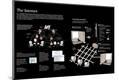 Premium Photographic Print