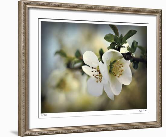 Intersecting with Glory-Michelle Wermuth-Framed Giclee Print