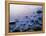 Intertidal Zone, Stanley Park, British Columbia, Canada-Paul Colangelo-Framed Premier Image Canvas