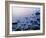 Intertidal Zone, Stanley Park, British Columbia, Canada-Paul Colangelo-Framed Photographic Print