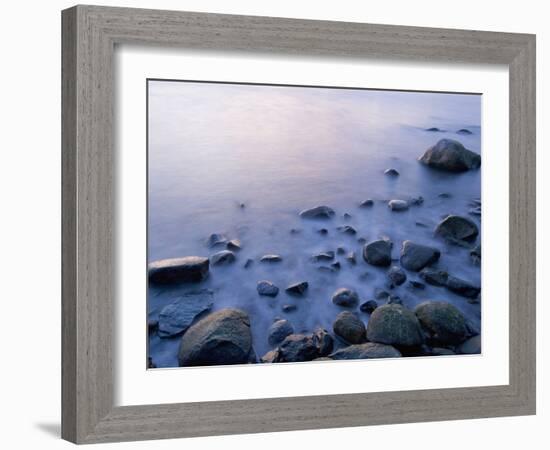 Intertidal Zone, Stanley Park, British Columbia, Canada-Paul Colangelo-Framed Photographic Print