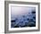 Intertidal Zone, Stanley Park, British Columbia, Canada-Paul Colangelo-Framed Photographic Print