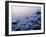 Intertidal Zone, Stanley Park, British Columbia, Canada-Paul Colangelo-Framed Photographic Print