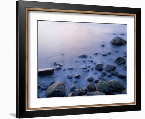 Intertidal Zone, Stanley Park, British Columbia, Canada-Paul Colangelo-Framed Photographic Print