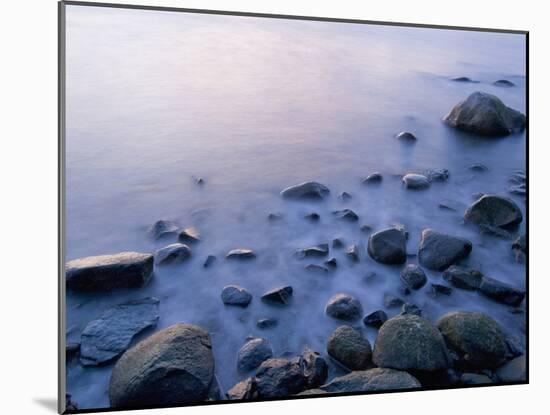 Intertidal Zone, Stanley Park, British Columbia, Canada-Paul Colangelo-Mounted Photographic Print