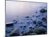 Intertidal Zone, Stanley Park, British Columbia, Canada-Paul Colangelo-Mounted Photographic Print