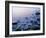 Intertidal Zone, Stanley Park, British Columbia, Canada-Paul Colangelo-Framed Photographic Print