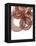 Intertwined Gold III-Monika Burkhart-Framed Premier Image Canvas