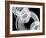 Intertwined Reverse I-Monika Burkhart-Framed Photographic Print