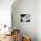 Intertwined Reverse II-Monika Burkhart-Photographic Print displayed on a wall