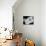 Intertwined Reverse II-Monika Burkhart-Mounted Photographic Print displayed on a wall