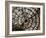 Intertwined Unwind-Sydney Edmunds-Framed Giclee Print