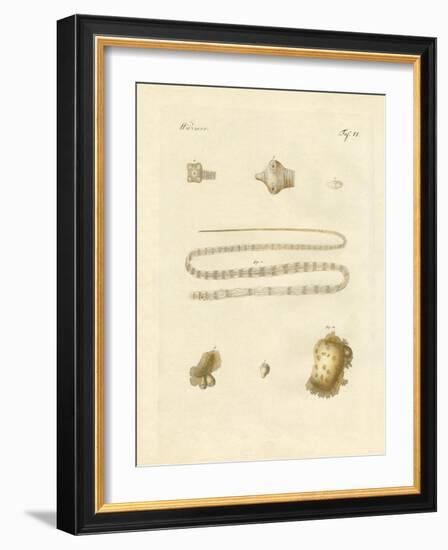 Intestinal Worms-null-Framed Giclee Print