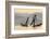 Intha Fisherman, Shan State, Inle Lake, Myanmar (Burma)-Peter Adams-Framed Photographic Print