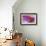 Intimate Iris-Harold Davis-Framed Giclee Print displayed on a wall