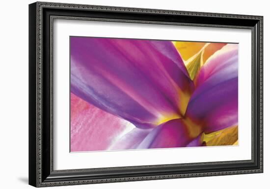 Intimate Iris-Harold Davis-Framed Giclee Print