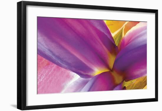 Intimate Iris-Harold Davis-Framed Giclee Print